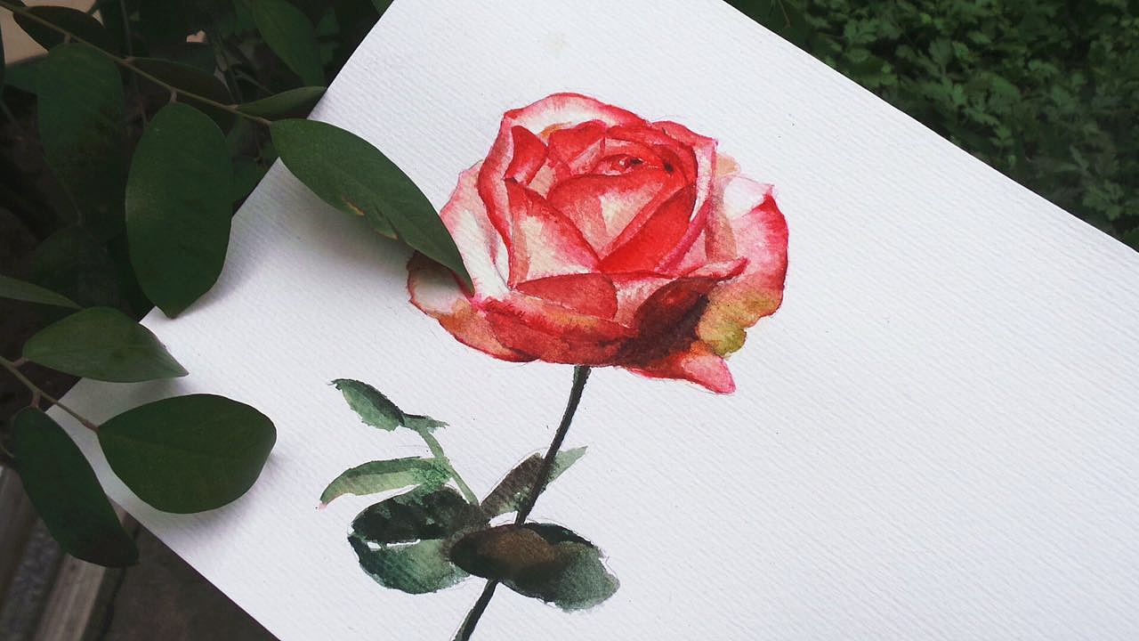 【集予水彩老师】华华的轻水彩