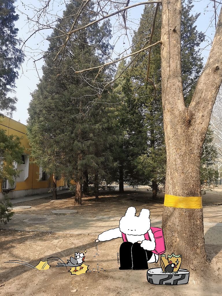 棉棉兔的写真馆