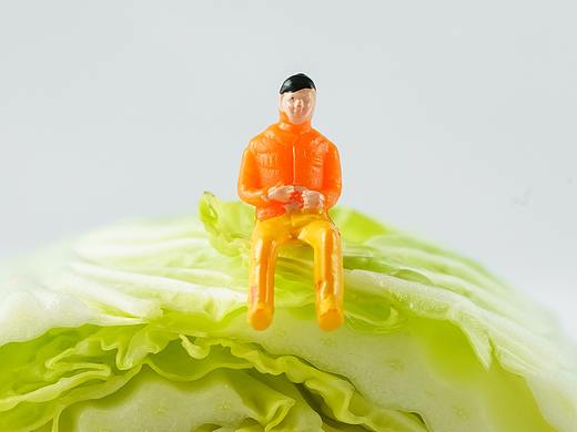 天生就叫baby，白菜中的优雅小清新