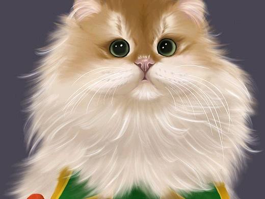 圣诞树猫猫