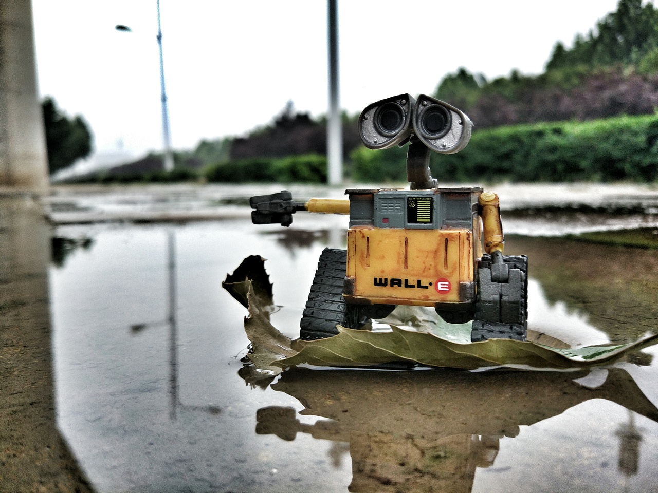 寻找伊娃（图ZNTM0NzQ1NjQ=） - 产品摄影 - 站酷设计师蜗牛大声唱原创素材 - 站酷ZCOOL