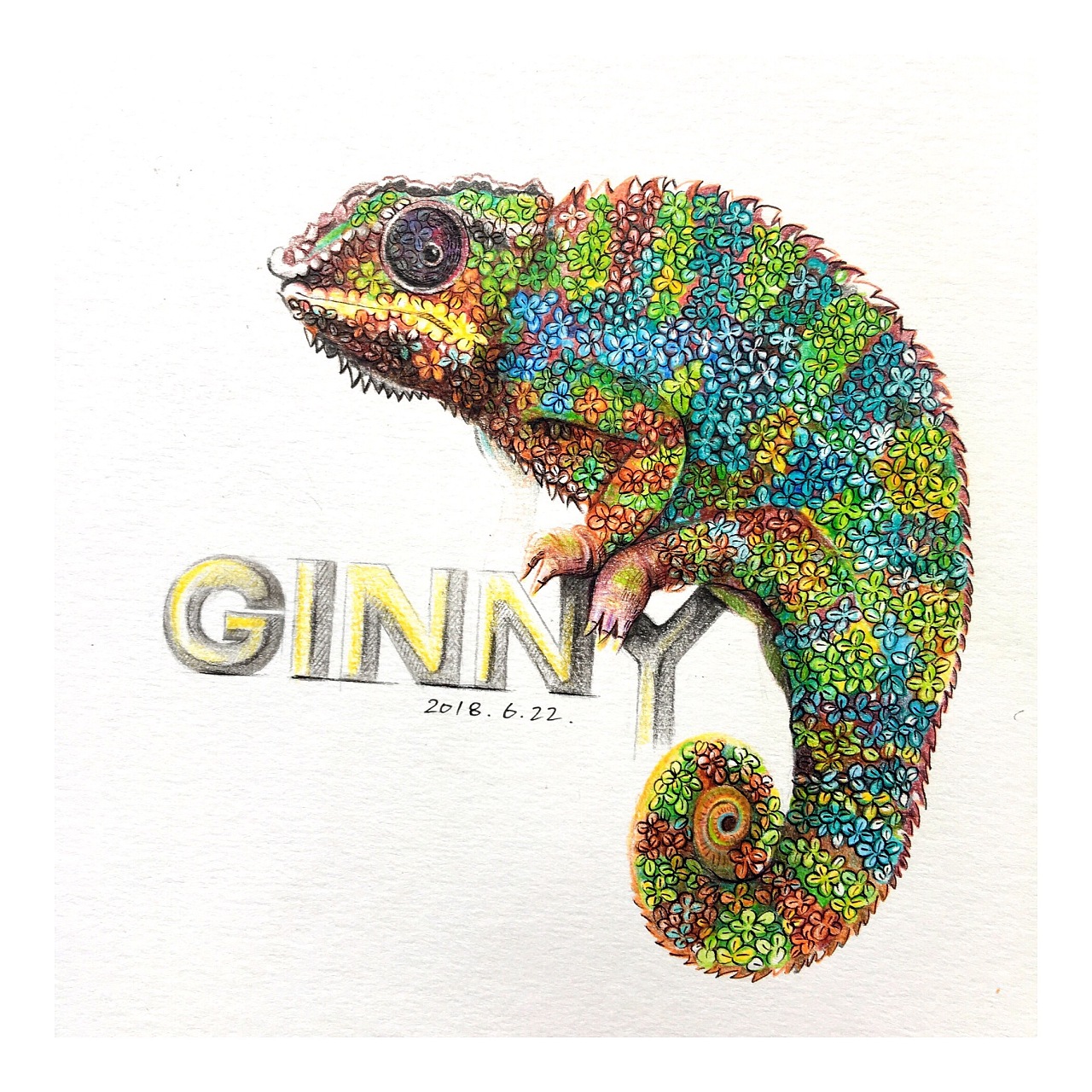 彩铅| 花花变色龙