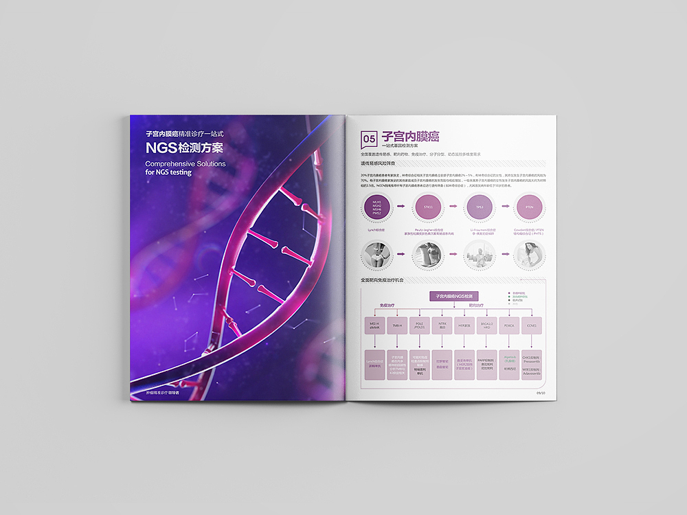 燃石医学画册设计 企业画册设计 宣传画册设计