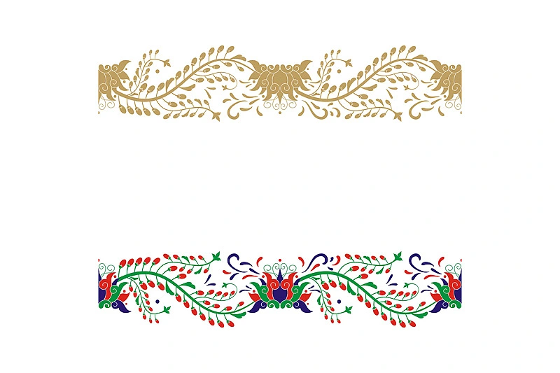 蜥奎设计∴西藏枸杞