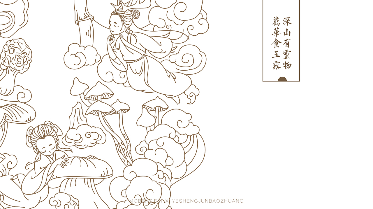 线描插画包装练习