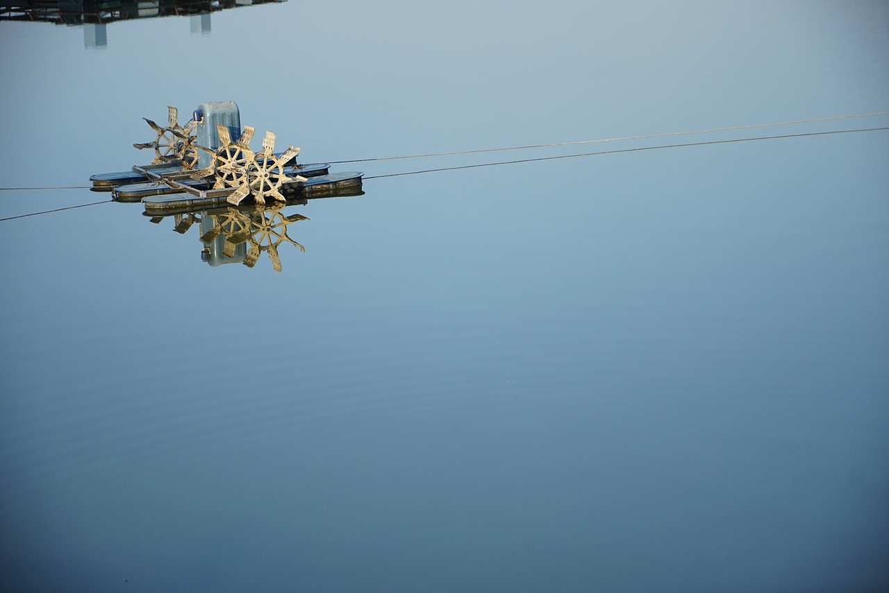 随拍（图ZMTUxMjU1MTM2） - 风光摄影 - 站酷设计师yomilasky原创素材 - 站酷ZCOOL