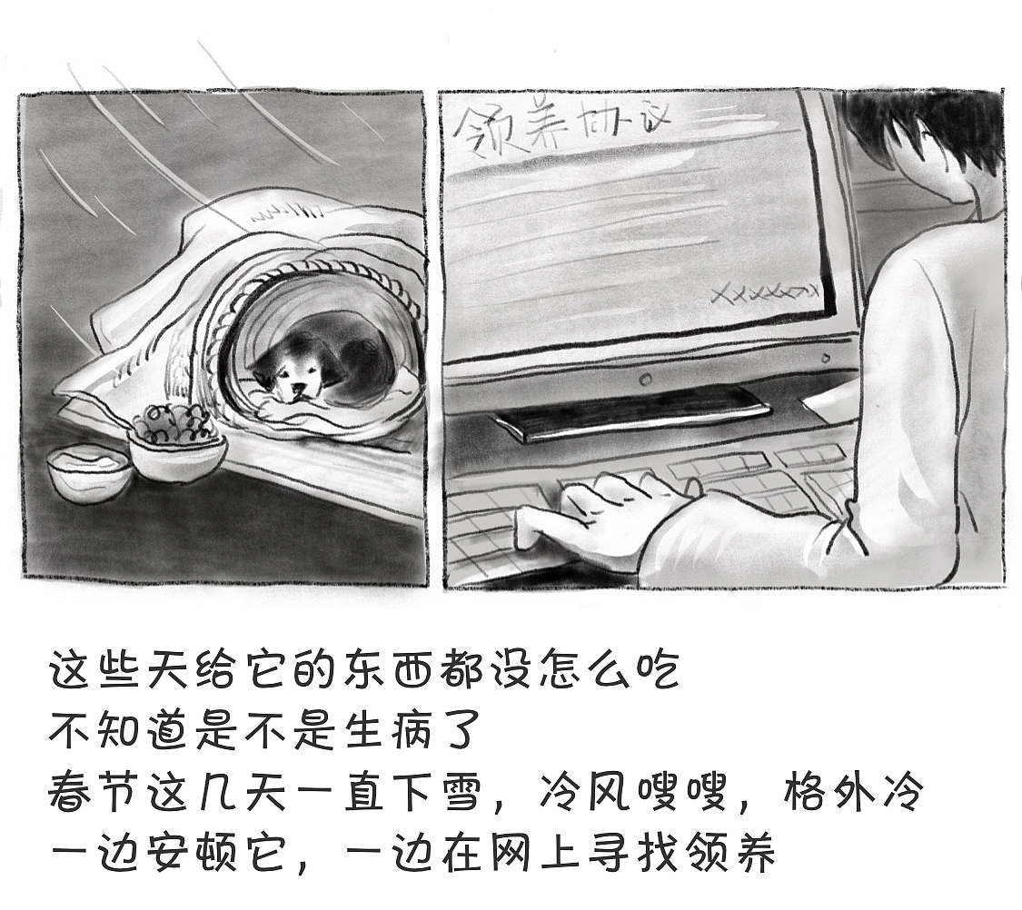 流浪狗的冬天何时不再寒冷