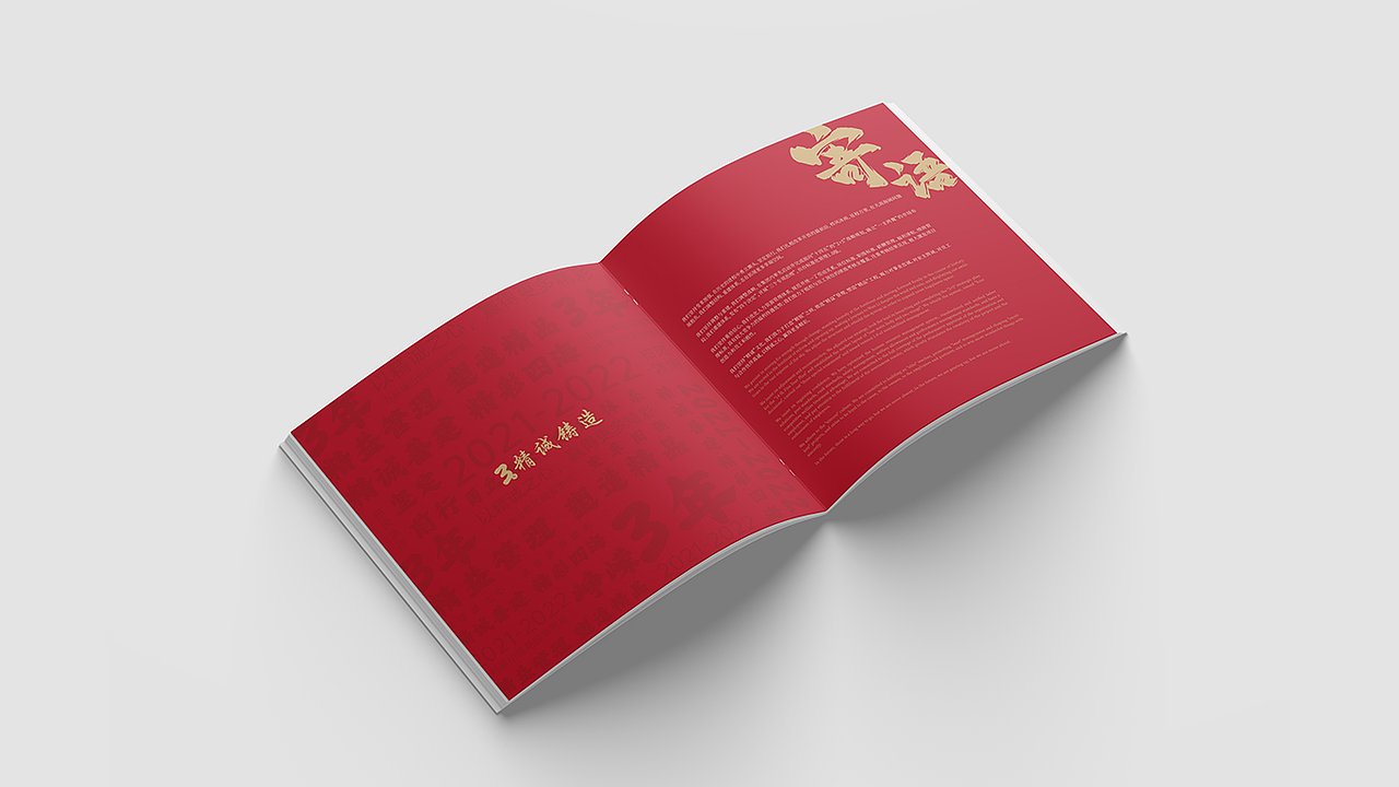 2023年平面作品集（图ZMzYzMDY2MjAw） - 其他平面 - 站酷设计师追逐风儿2014原创素材 - 站酷ZCOOL