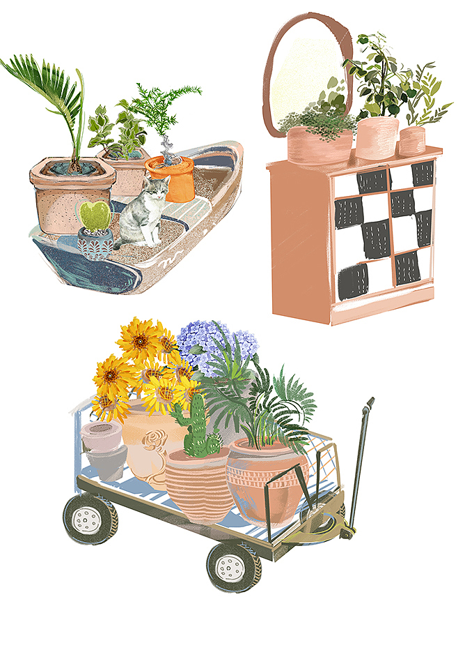 我爱热植的每一天