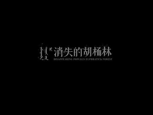 《消失的胡杨林》信息可视化应用设计