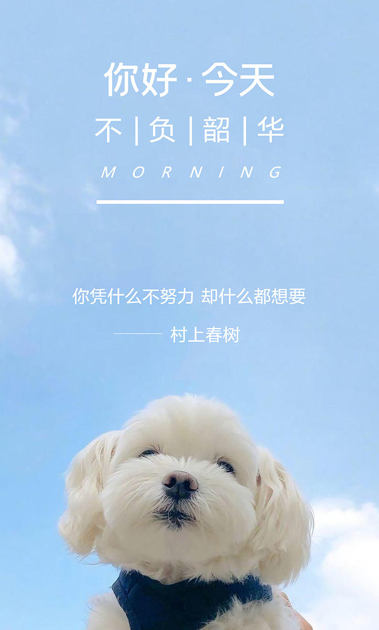 复星星恒保险代理“每日海报”部分作品