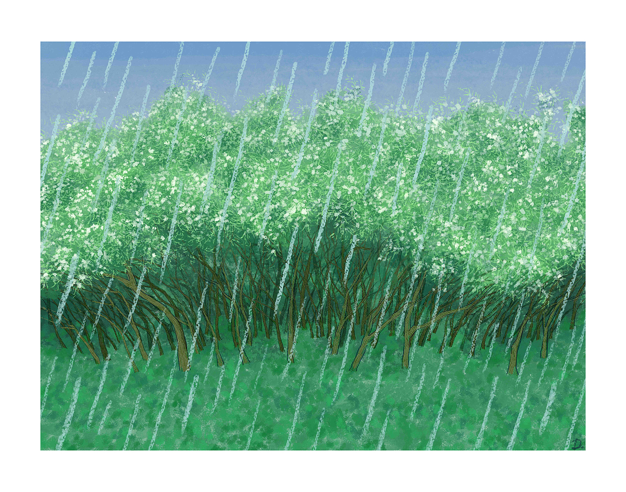 近期插画作品合集