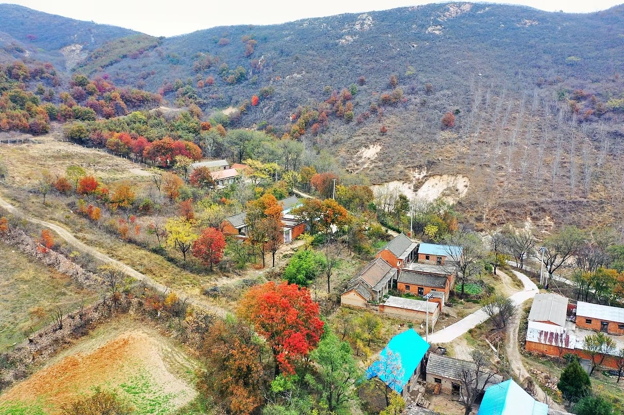 红叶美如画（图ZMzU3NzA1ODgw） - 风光摄影 - 站酷设计师我的瞬间艺术原创素材 - 站酷ZCOOL