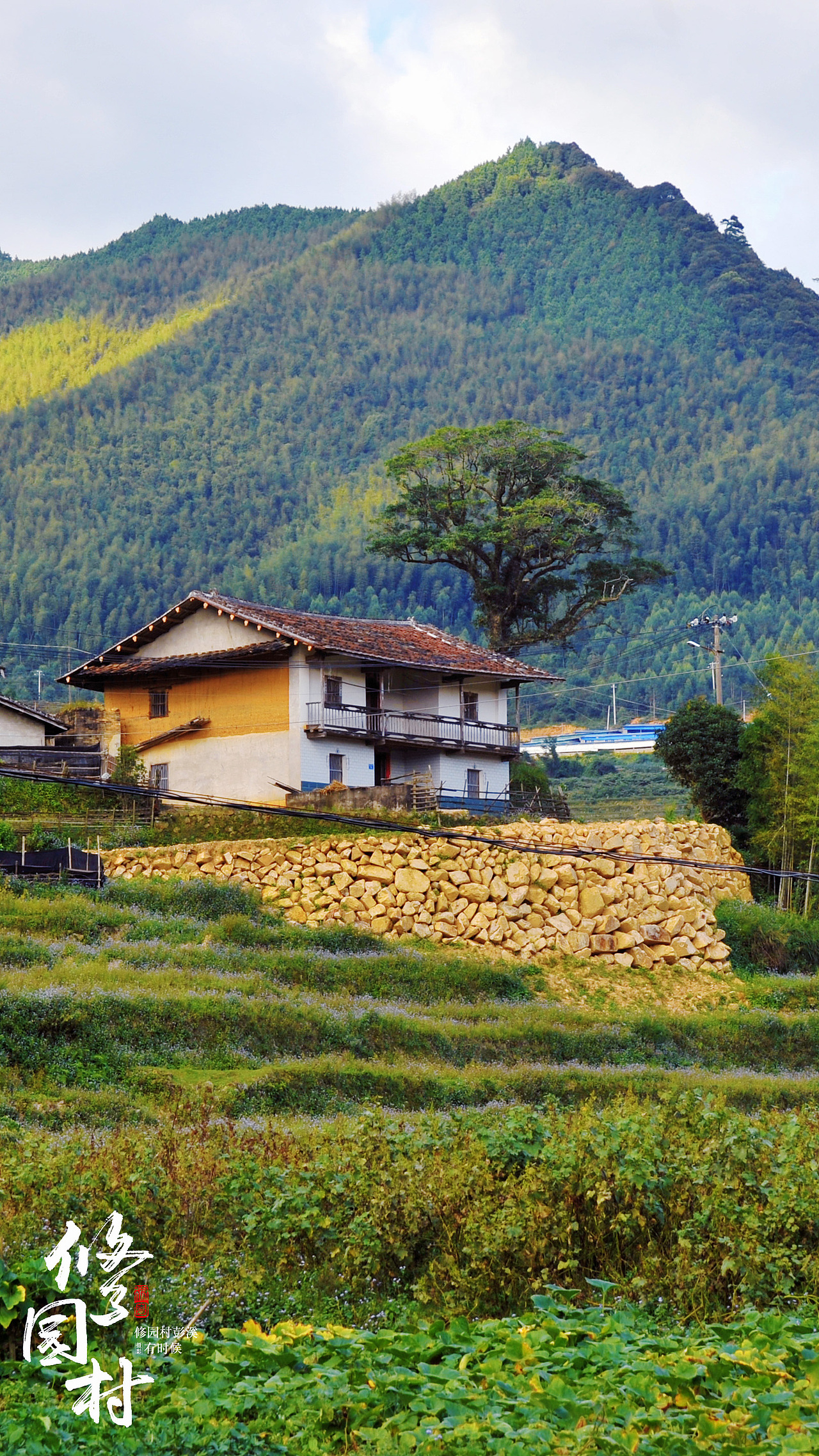 大山小村——修园