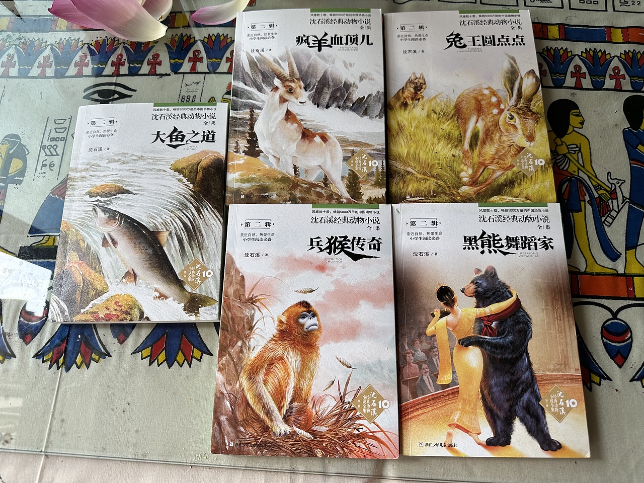 沈石溪动物小说封面配图（图ZMzQ2NTExMDg4） - 儿童插画 - 站酷设计师樊安安原创素材 - 站酷ZCOOL