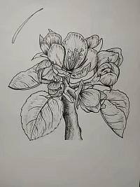 画（图ZMTEyMDQzMTEy） - 其他 - 站酷设计师蹦跶123原创素材 - 站酷ZCOOL