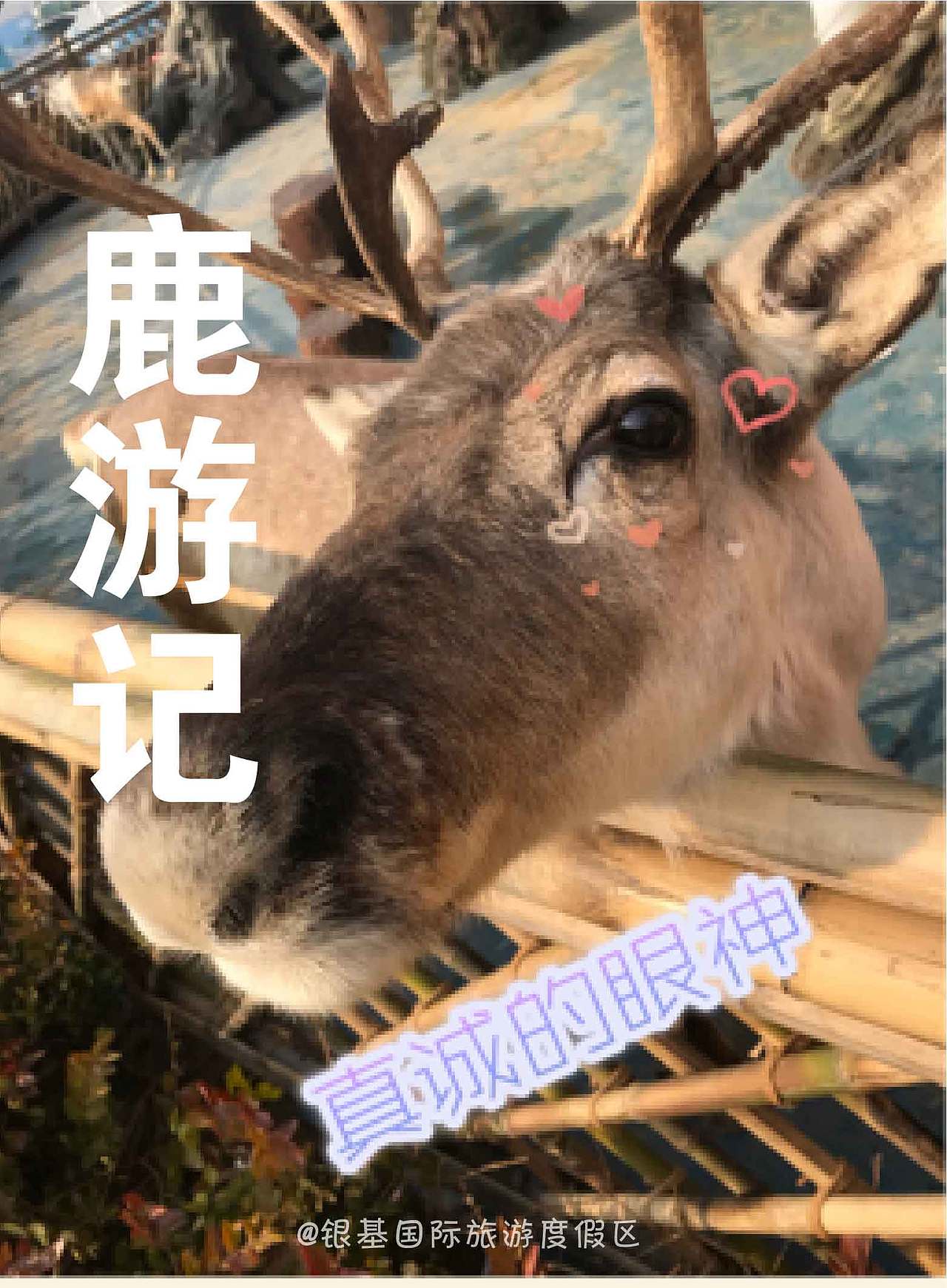 度假区自媒体长图