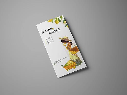三折页