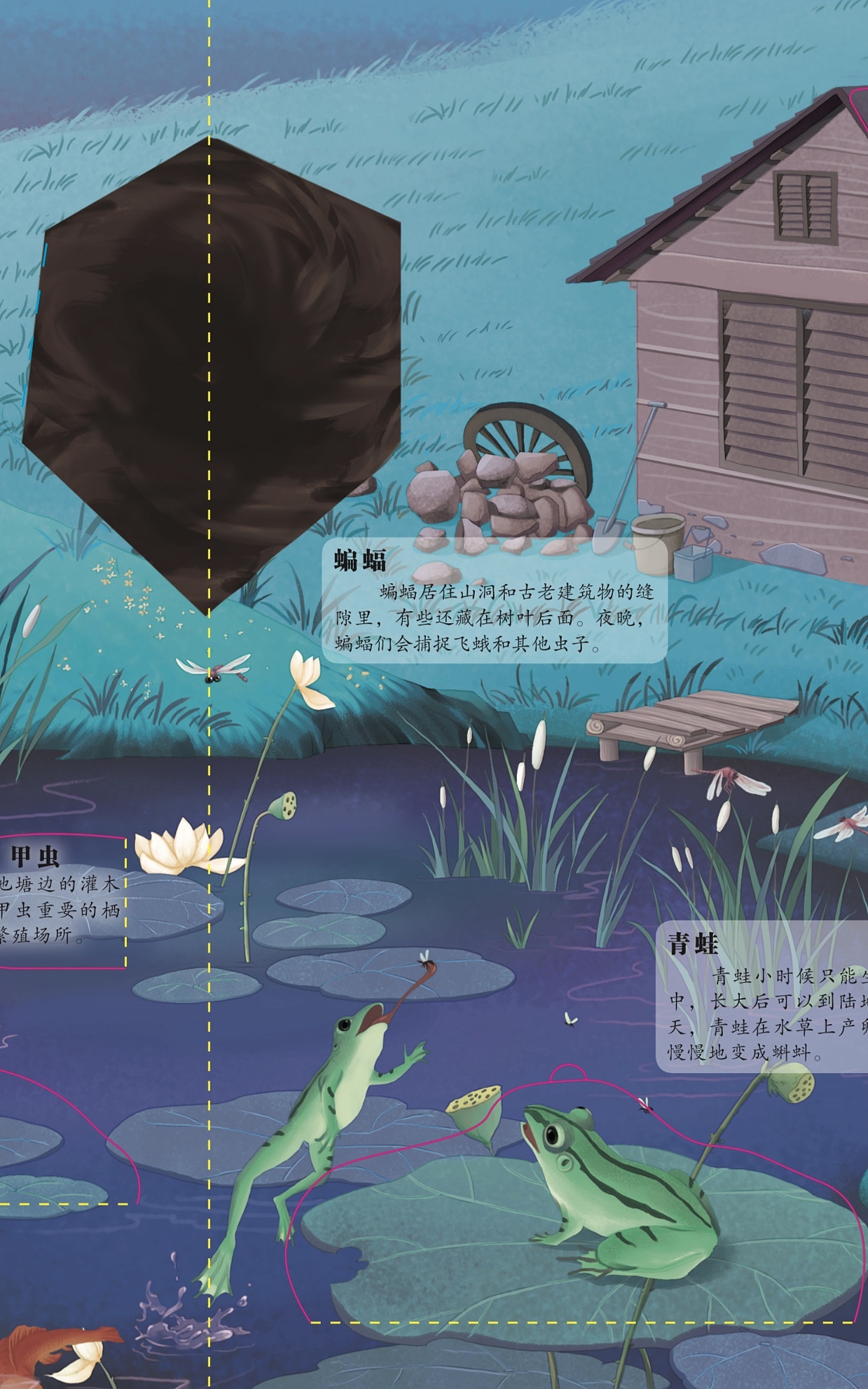 动物的家立体书（图ZMTkzNjQ2NzEy） - 儿童插画 - 站酷设计师呦呦童原创素材 - 站酷ZCOOL