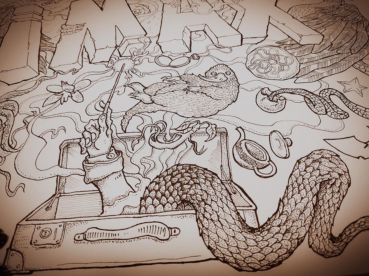 神奇动物在IMAX（图ZNjQ1NzQyNjg=） - 商业插画 - 站酷设计师王山北原创素材 - 站酷ZCOOL