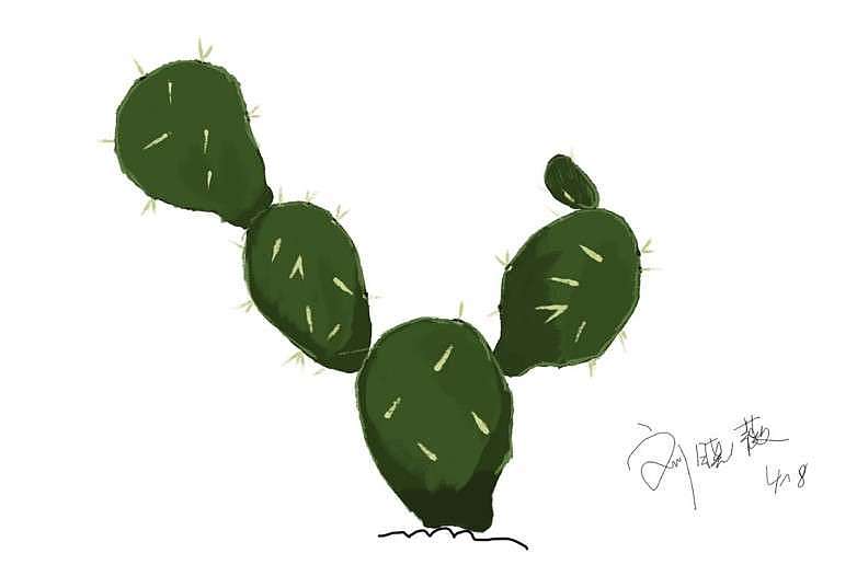 我们的第一个仙人掌🌵🌵🌵（图ZMTU1MDI2OTMy） - 儿童插画 - 站酷设计师插画教室原创素材 - 站酷ZCOOL