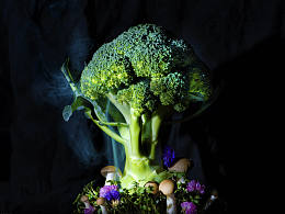 人文組－大樹乘涼－鏡頭背后1群－昊天武漢