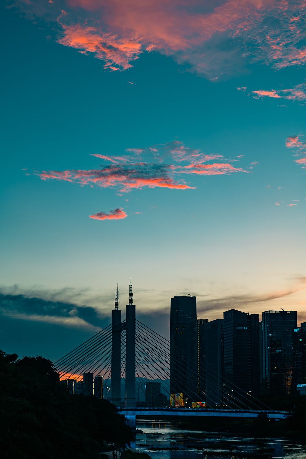 这片天空我承包了。