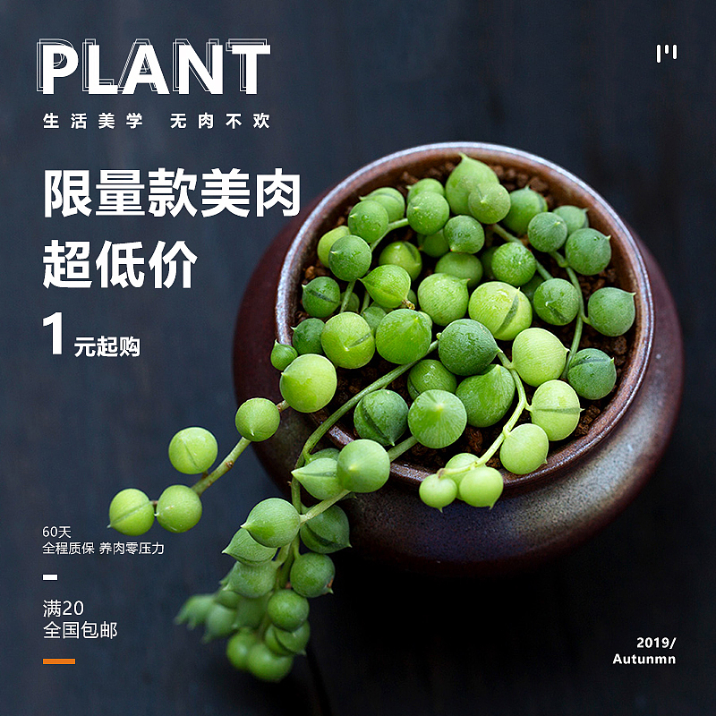 两张直通车和钻展（图ZMTg1OTA0MTAw） - 运营设计 - 站酷设计师湛麓原创素材 - 站酷ZCOOL