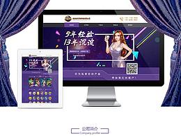 企业网站