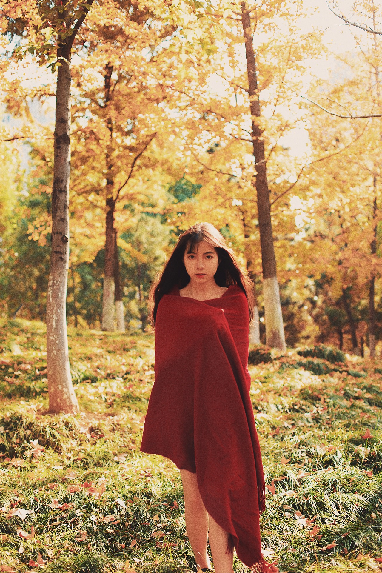 中岛美嘉
