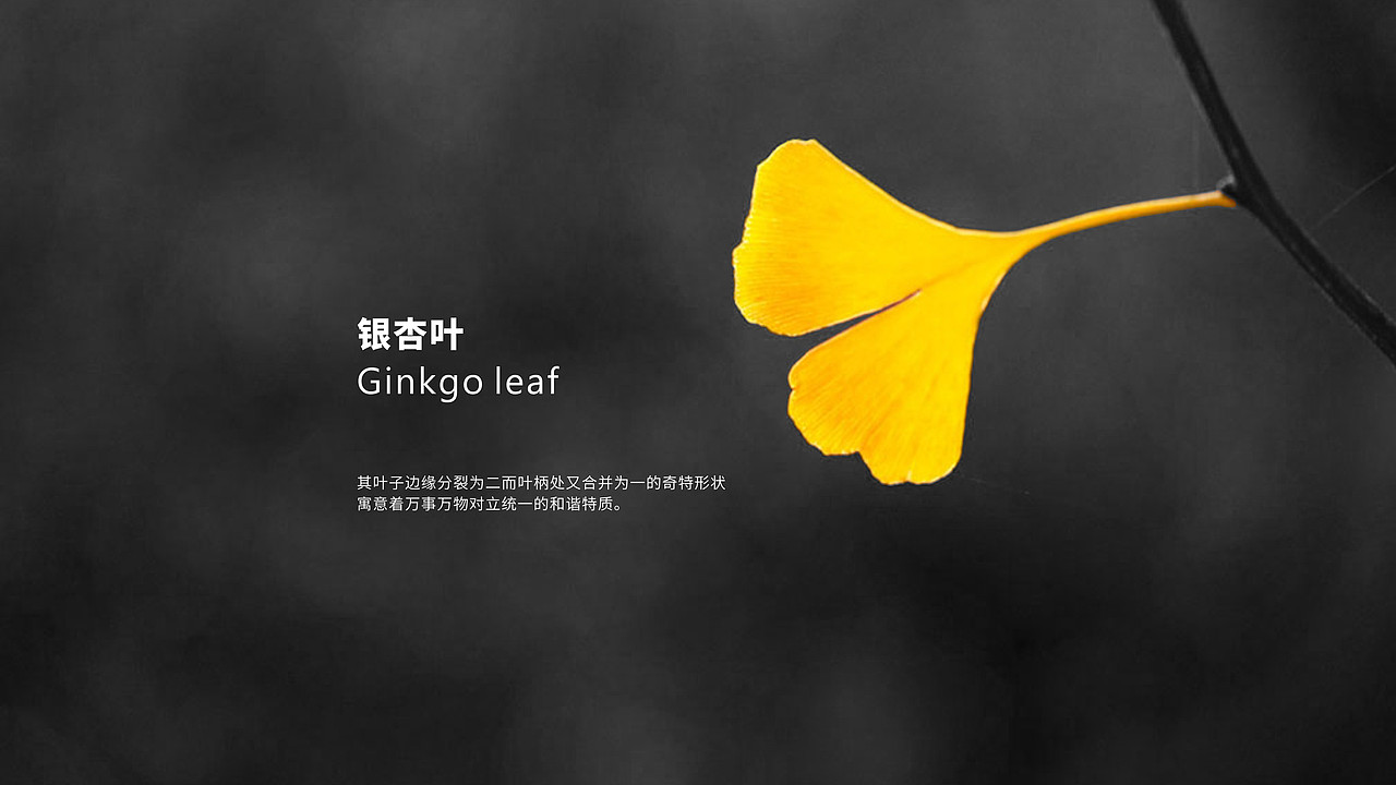 《樂點(diǎn)品牌》投資公司金融投行LOGO設(shè)計(jì)案例賞析（圖ZMTQ3NDEwNDAw） - 品牌 - 站酷設(shè)計(jì)師樂點(diǎn)品牌原創(chuàng)素材 - 站酷ZCOOL