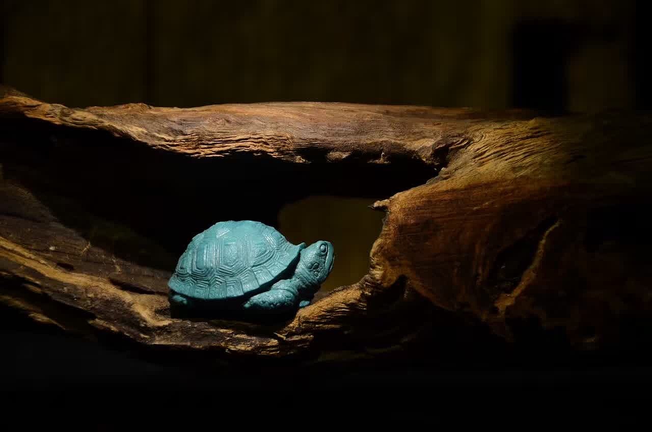 绿松石-《乌龟》