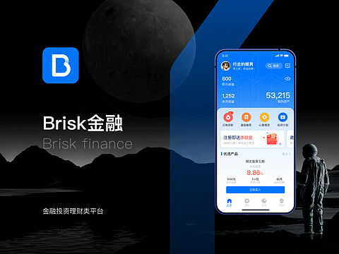 Brisk金融（概念篇）