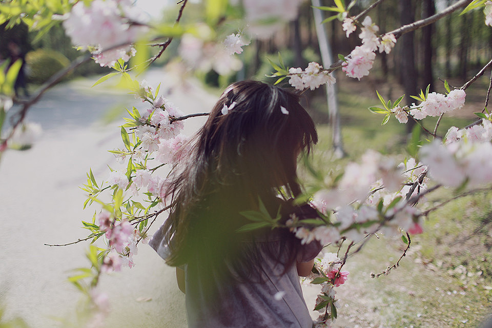 最初的爱,最后的仪式
