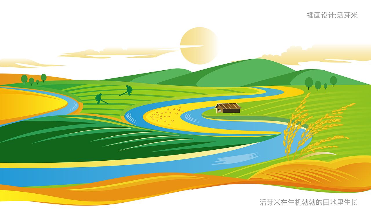 艾农艾乐五谷福粮米包装设计