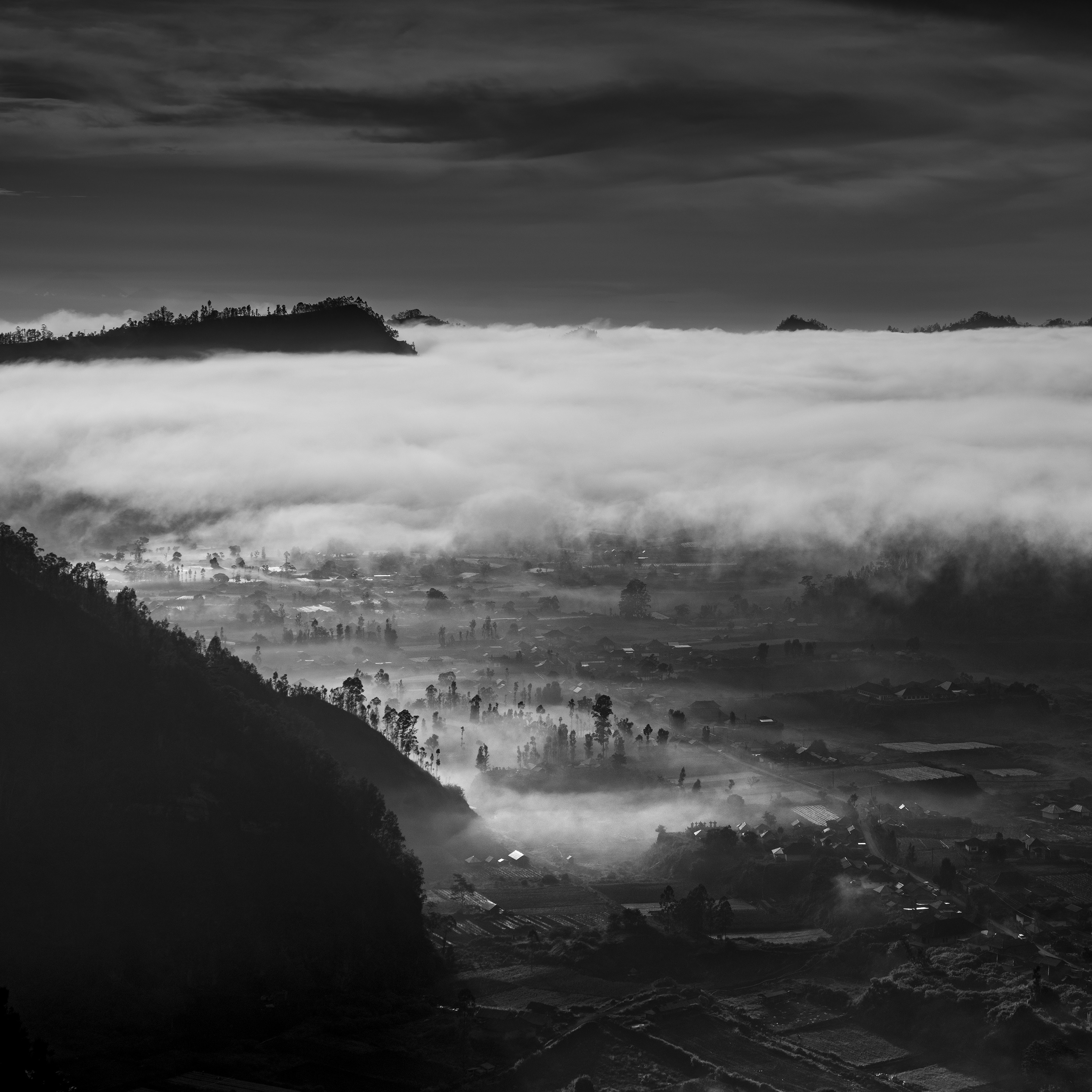 大樹(shù)lyon的個(gè)人主頁(yè)（封面預(yù)覽） - 主頁(yè)封面設(shè)置 - 站酷設(shè)計(jì)師大樹(shù)lyon原創(chuàng)素材 - 站酷ZCOOL