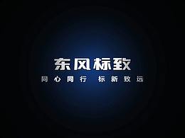 东风标致售后服务宣传