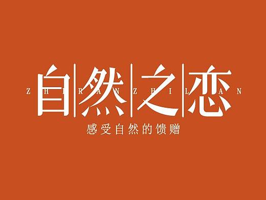 字体设计作业