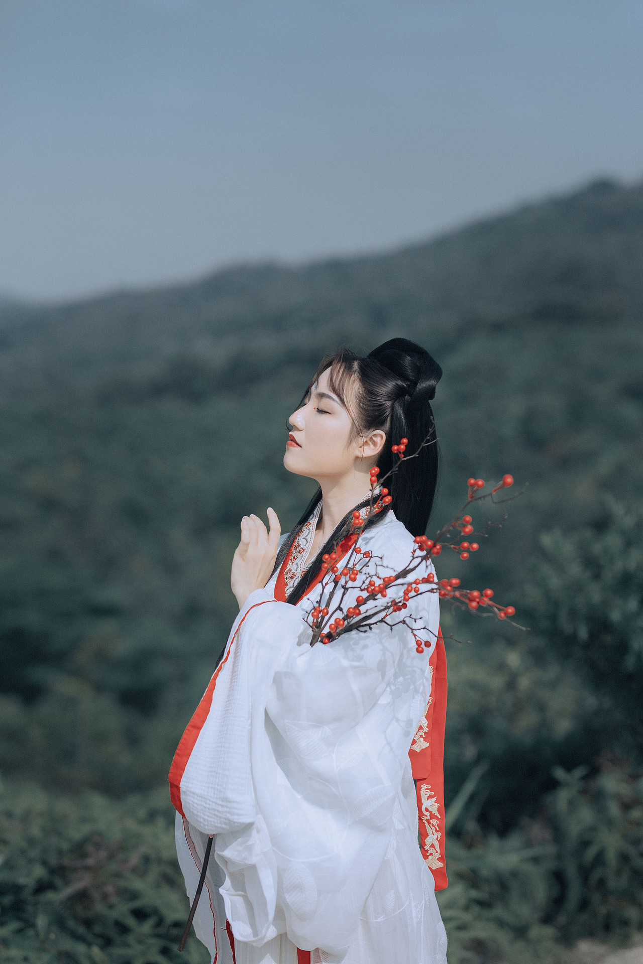 青山归客