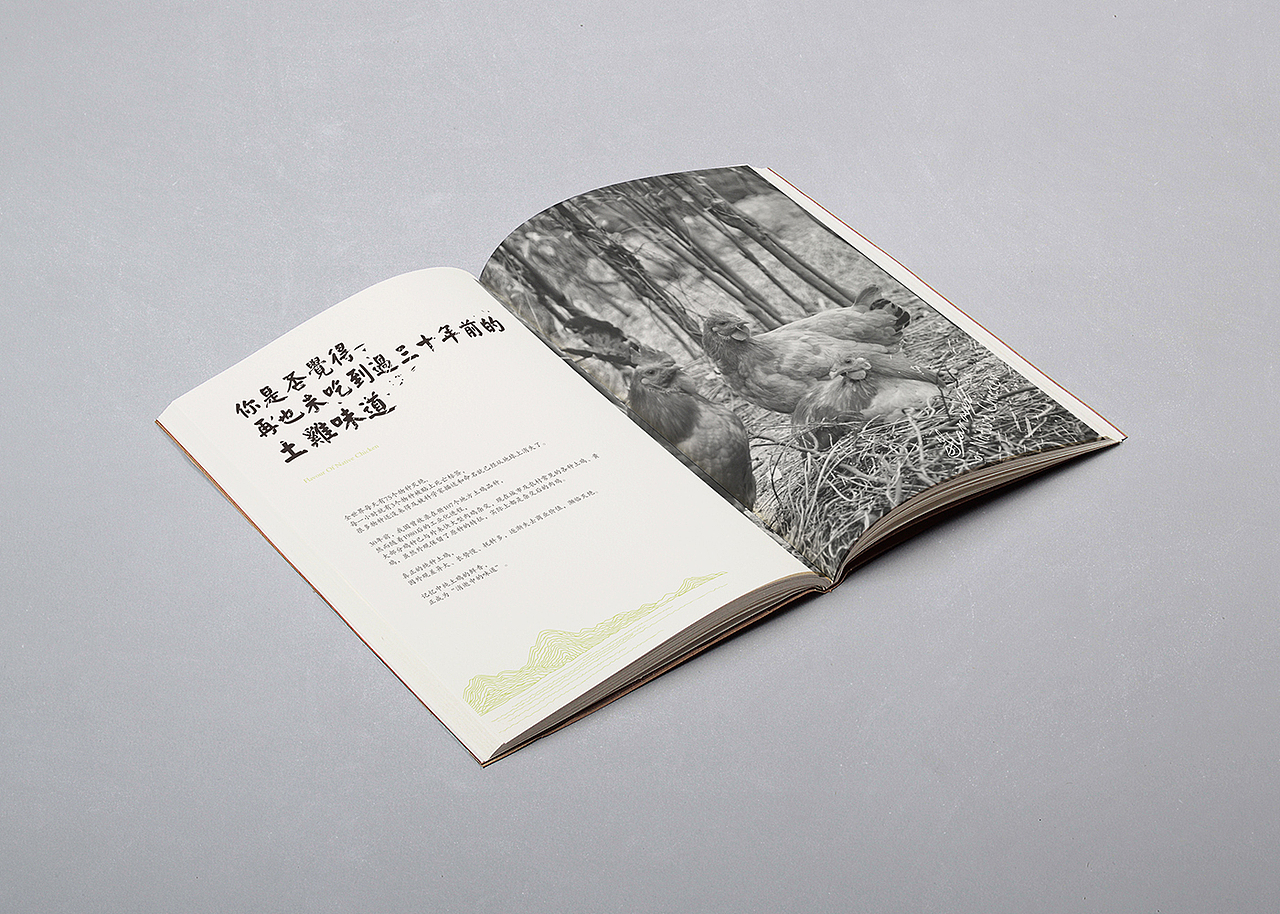 画册设计 | 黔纯土鸡新年礼