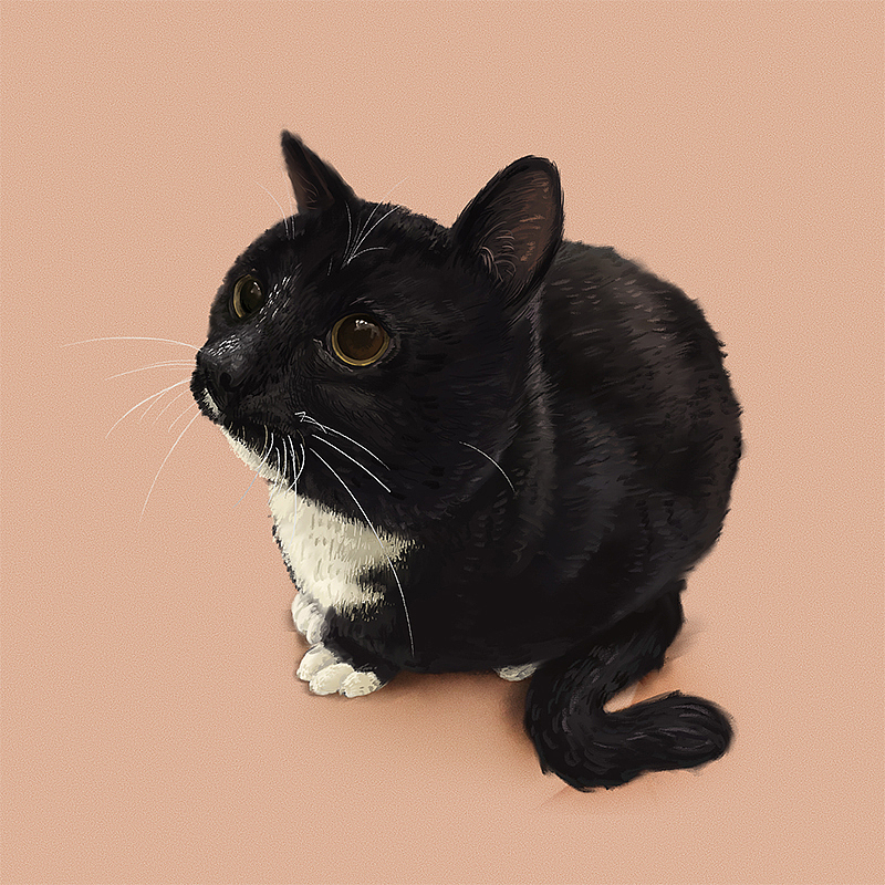 一波动物手绘+绘画过程动图