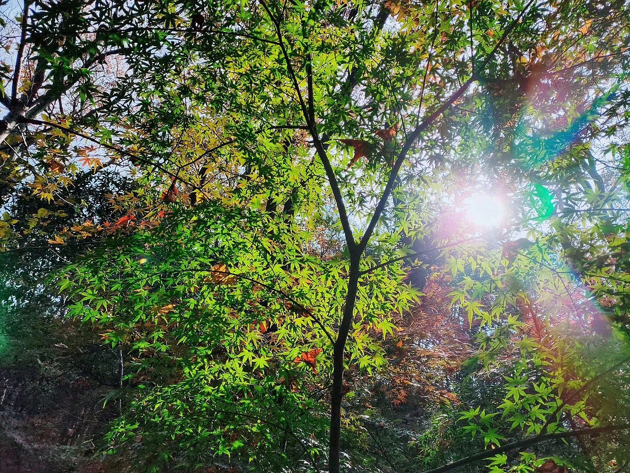 自是不一样的风光无限（图ZMjA5MTA2NzI0） - 风光摄影 - 站酷设计师l9lol9l原创素材 - 站酷ZCOOL