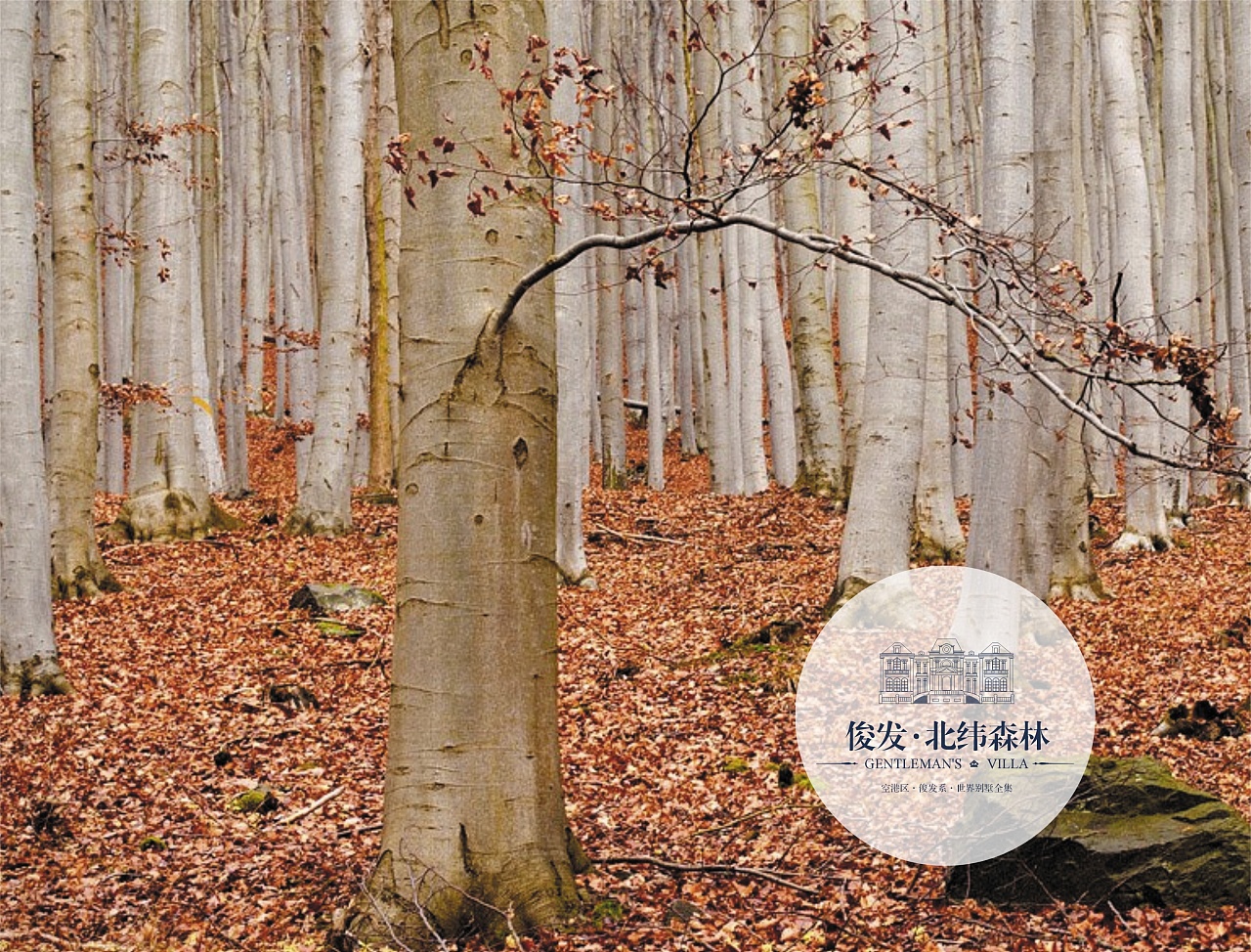 一些飞机稿|平面|logo|宜嘉空间设计杨辅 - 原创作品 - 站酷 (zcool)