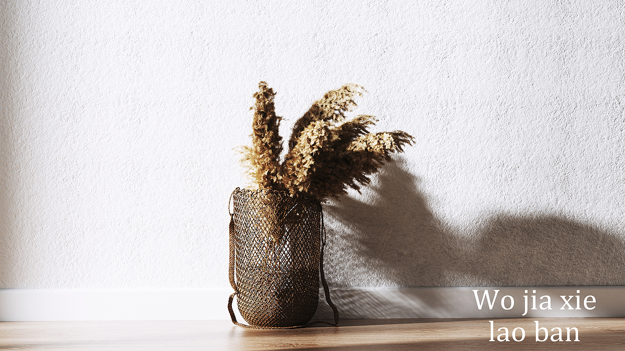 光影写实系列 Hyperrealism