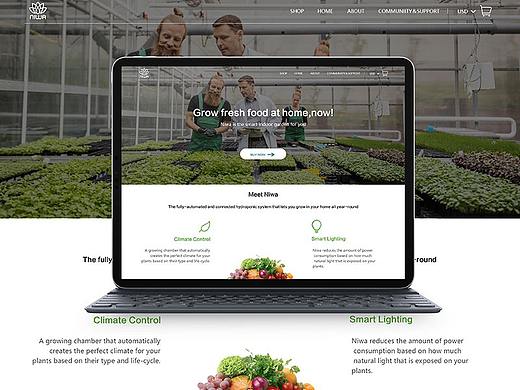 网页整理（个人主页-ZMzM0MzcyNjg=） - 企业官网 - 站酷设计师又撞了个满怀原创素材 - 站酷ZCOOL