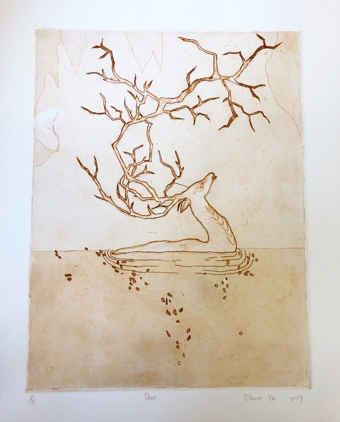 鹿|纯艺术|绘画|叶佩琪_原创作品-站酷zcool