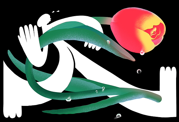 一些植物（图ZMzM4MTYzNjAw） - 商业插画 - 站酷设计师我叫王洗洗原创素材 - 站酷ZCOOL