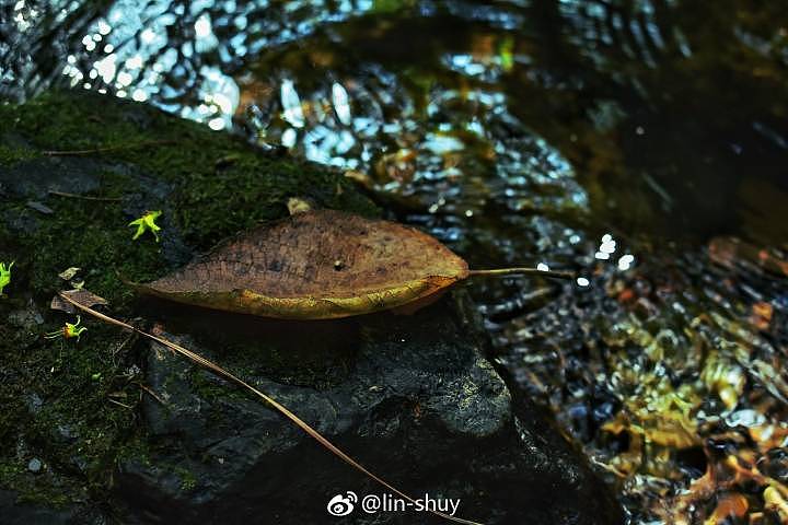 随拍（图ZMTAyODc0MTY0） - 风光摄影 - 站酷设计师hei_rino原创素材 - 站酷ZCOOL