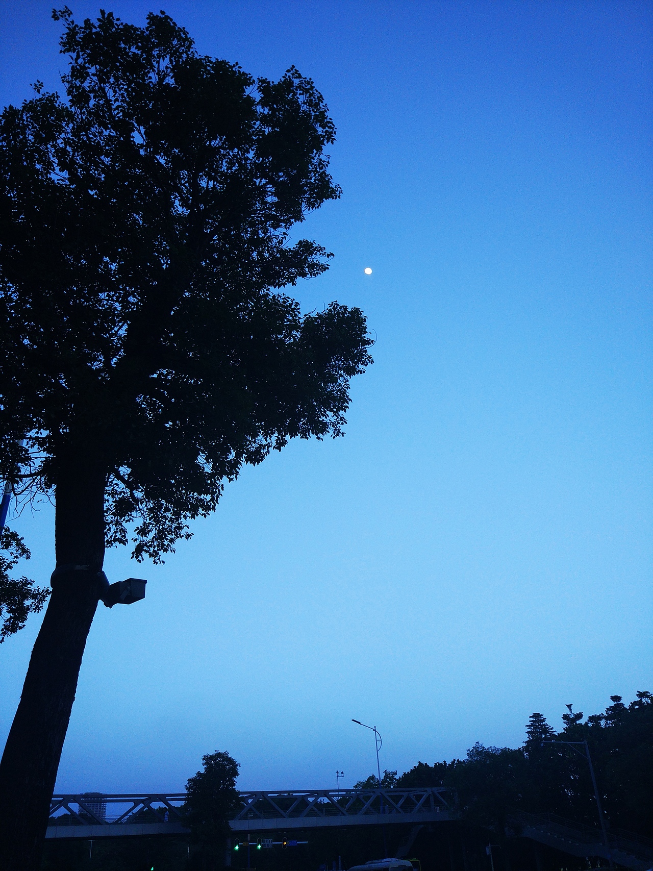 我拿起了小米5，翻开了里面的相册·····（图ZMjEzNjUxODM2） - 人文/纪实摄影 - 站酷设计师VegooSun原创素材 - 站酷ZCOOL