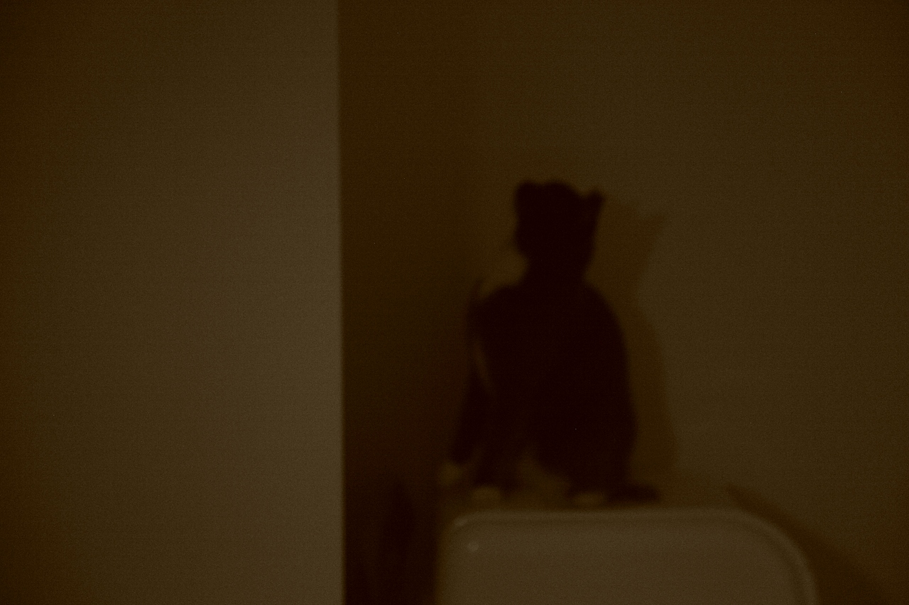 ??? ? ??/....（圖ZMTAwMDE1Mzgw） - 人文/紀(jì)實攝影 - 站酷設(shè)計師AAAAAPIAO原創(chuàng)素材 - 站酷ZCOOL